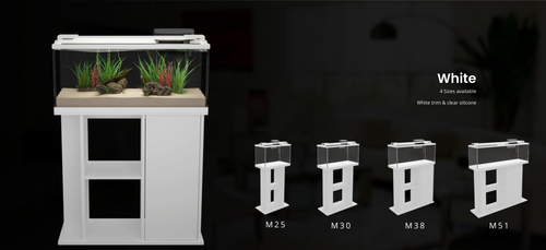 25 - 51 Gallon Fresh Water Aquarium Set Up (LOS LUNAS)