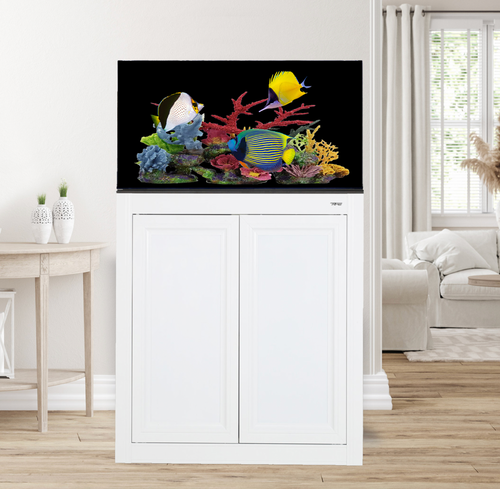 50 Gallon "Salt Water Fish W/Artificial Decor" Aquarium Complete Set Up (LOCAL ONLY, NO OUT OF STATE*)