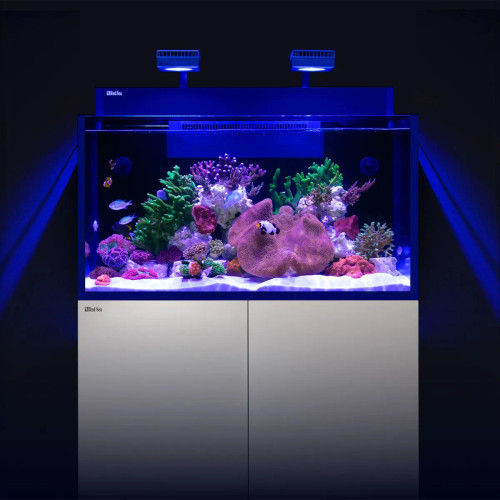 Red Sea Max NANO G2 Cube Complete Reef System (20 Gallon)