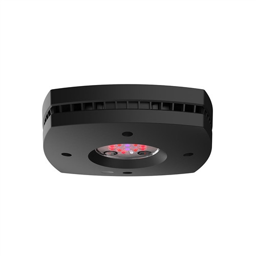 AI Prime 16 LED Fuge Light - Black Body
