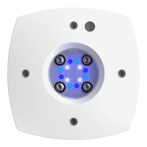 AI Prime 16 SOL LED Light - White Body