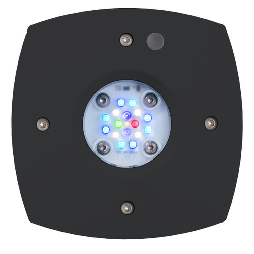 AI Prime 16 HD LED Reef Light - Black