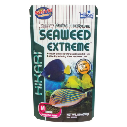 Hikari Seaweed Extreme Medium Pellet 8.8oz