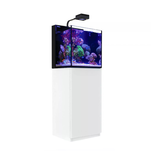 Red Sea Max NANO G2 Peninsula Complete Reef System (26 Gallon)