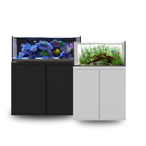 Edge 50 Reef Combo Black *LOCAL ONLY, NO OUT OF STATE SHIPPING*