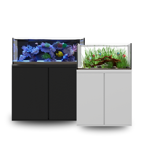Edge 70 Reef Combo White *LOCAL ONLY, NO OUT OF STATE SHIPPING*