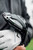 Quantum Max Driver Ventus