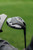 Quantum Max Driver Denali