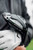 Quantum Max Driver Denali