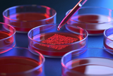Is There Still Room for Innovation in Enrichment Broths?