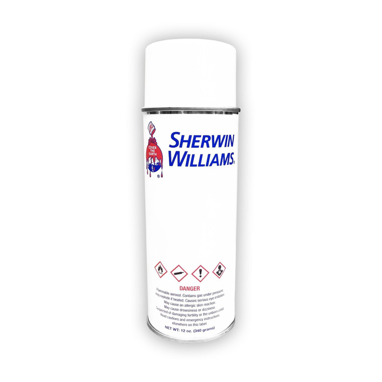 Helmet Touch-up Spray Paint Kit