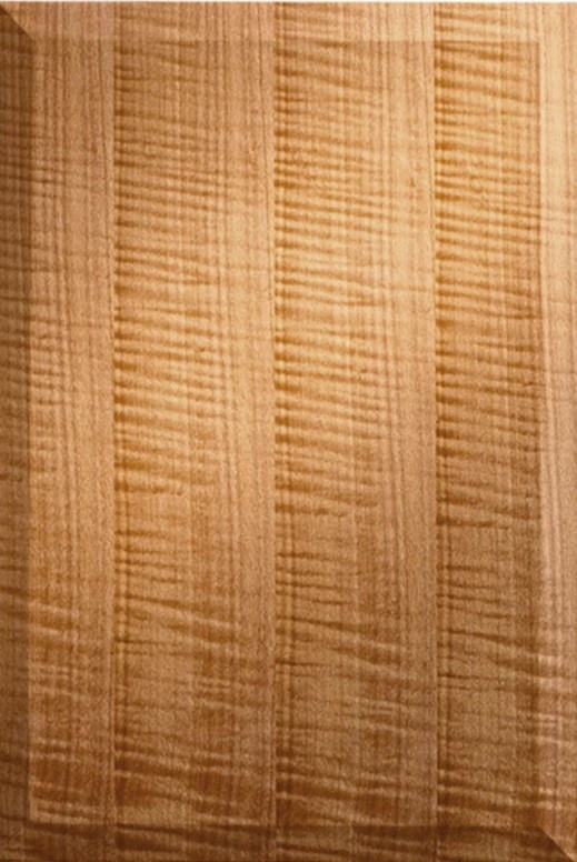 Clear Coat Nova Wood Veneer Doors