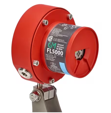 FL5000 MSIR Flame Detector