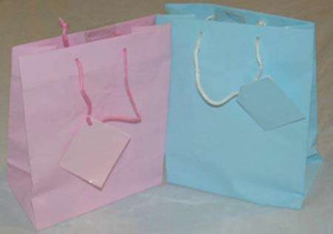 Shiny Gift / Favor Bag