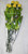 Long Stem 19" Milk Chocolate Roses Bouquet of 6 - Choose Color