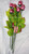 Long Stem 19" Milk Chocolate Roses Bouquet of 6 - Choose Color