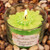 Colorful Chrysanthemums Apple Green Colored Flower Shaped Scented Candle