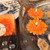"Floating Florals" Orange Flower Daisy Floating Candle