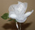 Gorgeous Calla Lily Jordan Almonds Bouquet Favors - SALE