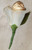 Stunning Rose Chocolate Favor with Silk Petal, Stem & Leaf