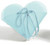 Frosted Heart Shaped Box with Attached Tassel - White or Pink