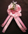Personalized Corsage (Capias) W/Checkered Ribbons, Lady Bugs & Teddy Bear - Blue or Pink