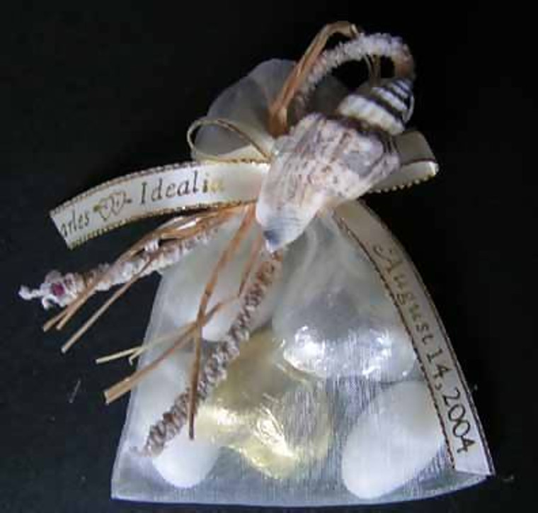 Organza Bag w/Beach Ornaments, Personalized Ribbons and w/Almonds, Chocolate
