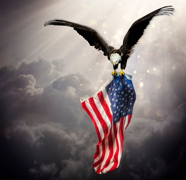 The Eagle:  Symbol of the United States of America