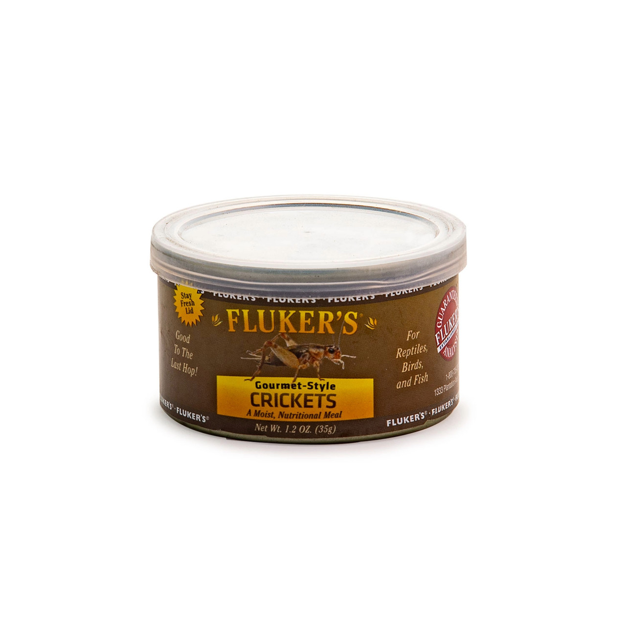 Gourmet-Style Canned Crickets Main