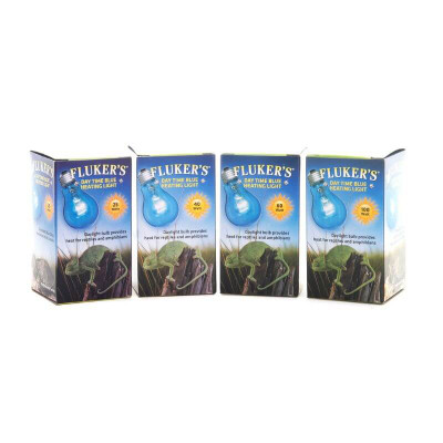 DAYTIME BLUE BULB GROUP