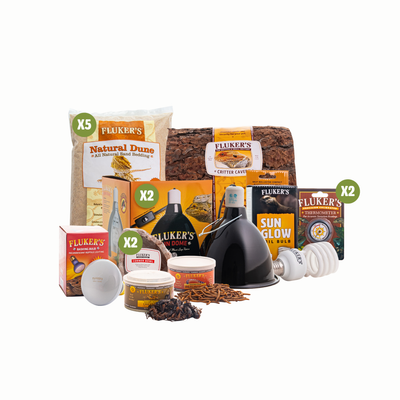 Bearded Dragon - Desert Starter Kit Main Image