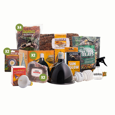 Tortoise - Box Turtle Starter Kit Main Image