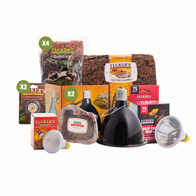 Snake Starter Kit Main Image