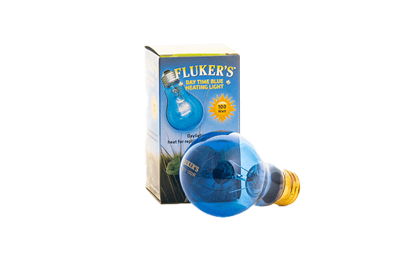 Daytime Blue Bulb