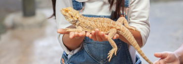 Reptile Awareness Day
