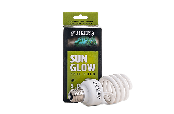 Sun Glow Coil Bulb Tropical 