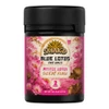 SMAK'D Blue Lotus Pre-Rolls - 50 ct. Jar