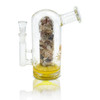 8" Bubbler with Sea Shell Theme Water Pipe - Assorted