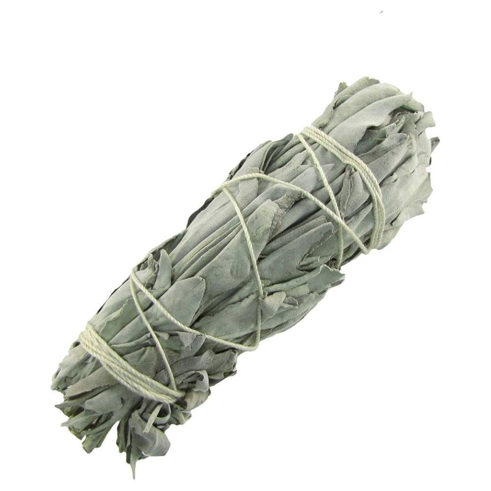 California White Sage 4" - Loose