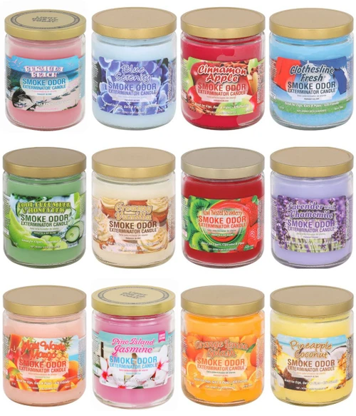 Smoke Odor Exterminator Candle 13oz Jar Year Round Scents