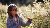 Choosing the Perfect Eyeglasses to Complement Your Facial Structure