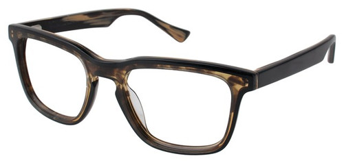 Tortoise Ted Baker B881 Eyeglasses