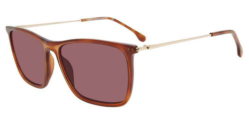 Brown Lozza SL4236 Sunglasses