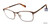 Brown Brendel 902251 Eyeglasses.