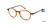 Brown William Morris London WM50003 Eyeglasses - Teenager.