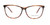 Brown Limited Edition LTD 2206 Eyeglasses