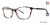 Lilac Tortoise Vera Wang V534 Eyeglasses.