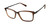 Trans Brown Sperry BRIXHAM Eyeglasses.