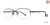 Brown Gallery Doug Eyeglasses 