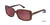 Brown Brendel 906035 Sunglasses.